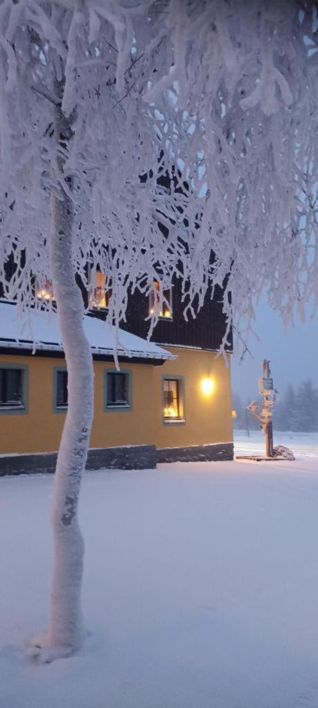 Berggasthof Neues Haus Hotel Oberwiesenthal Exterior photo